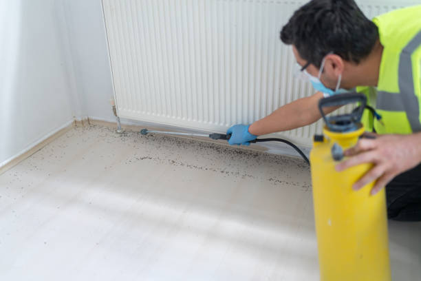 Best Commercial Pest Control Services  in Glenside, PA